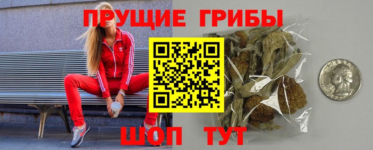 Псилоцибиновые грибы прущие грибы  Вход с VPN  Новоалександровск  Галлюциногенные грибы MAGIC MUSHROOMS 